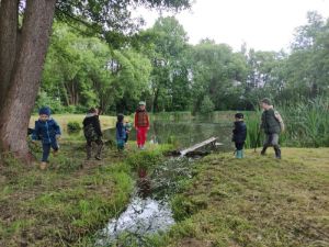 fb-img-1748515849850