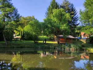 fb-img-1748515818349